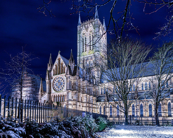Snowy Cathedral - Wildlife Print Store - Print - Medium (10x8 inches - glossy acrylic with subframe for hanging)