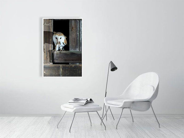 Supper Time! - Wildlife Print Store - Print - Extra Large (120x80 cm / 47x31 inches - canvas on pine frame)