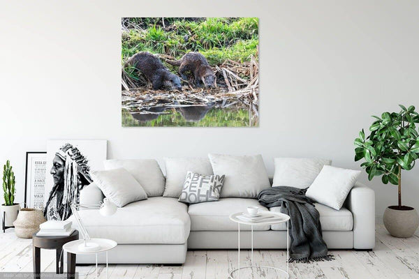 Twin Otters by the River - Wildlife Print Store - Print - Extra Large (120x80 cm / 47x31 inches - canvas on pine frame)